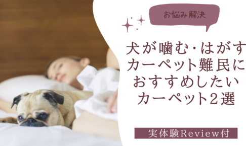 カーペットアイキャッチ