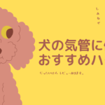 気管ハーネスサムネ