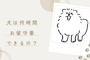 犬のお留守番
