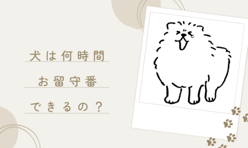 犬のお留守番